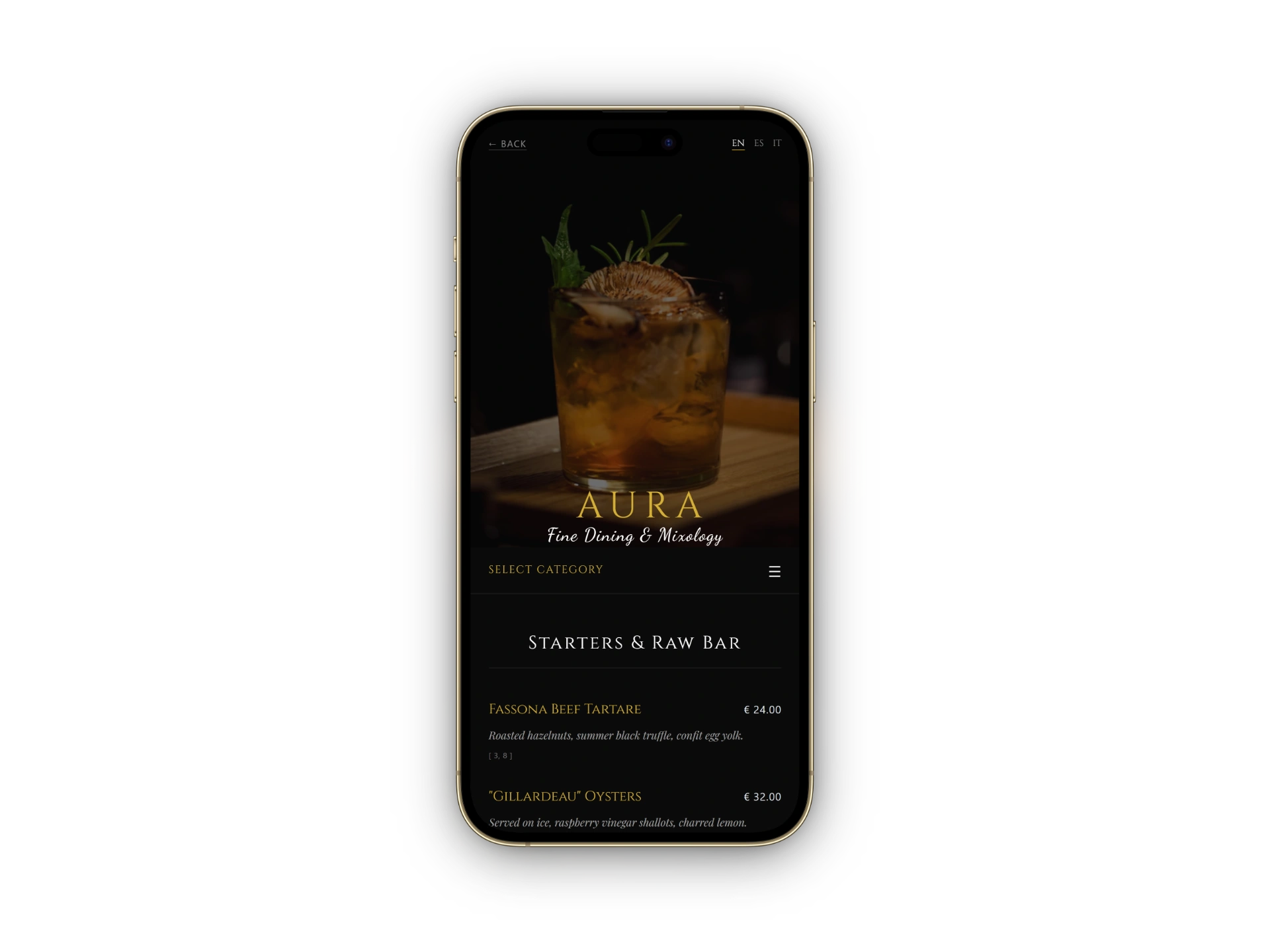 Aura Premium Menu Mockup